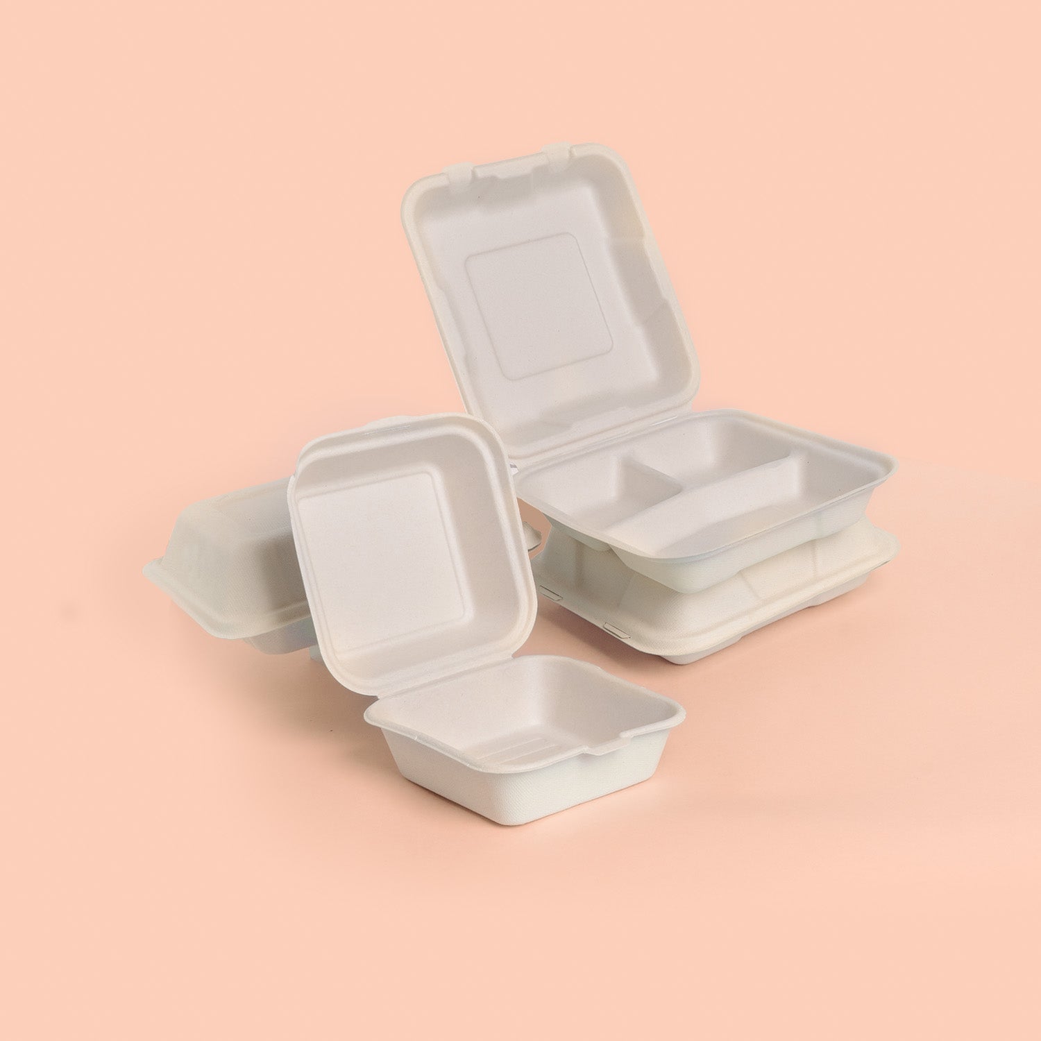 Plant Pulp Food Containers
